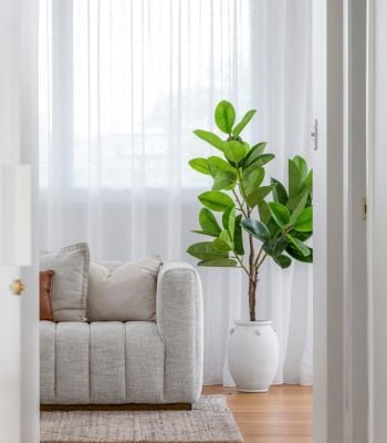 2 bedroom